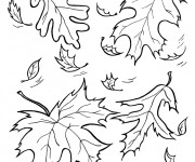 Coloriage Feuilles d'Arbres en noir et blanc