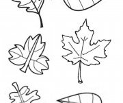 Coloriage Feuilles en Automne &agrave; d&eacute;couper