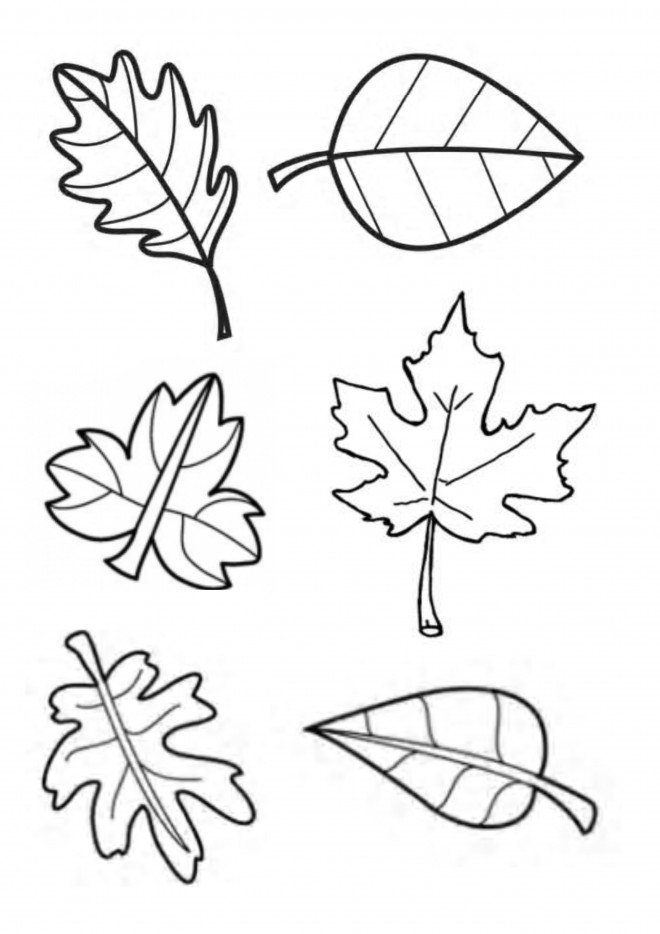  Coloriage  Feuilles  en Automne  d couper