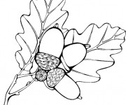 Coloriage Fruits et Feuilles d'Automne vecteur