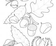 Coloriage Fruits et Feuilles en Automne au crayon