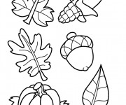 Coloriage Les Feuilles et Les Fruits