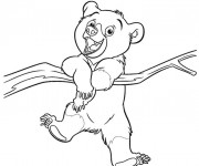 Coloriage Un petit Ours sur l'arbre