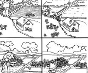 Coloriage Les Quatres Saisons
