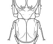 Coloriage Aper&ccedil;u du scarab&eacute;e de l'Atlas