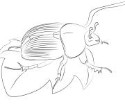 Coloriage et dessins gratuit Bousier facile à imprimer