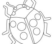 Coloriage Coccinelle en noir et blanc