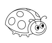 Coloriage et dessins gratuit Coccinelle rampant à imprimer