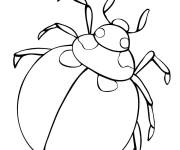Coloriage Col&eacute;opt&egrave;re rond
