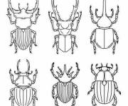 Coloriage et dessins gratuit Collection de Scarab&eacute;e à imprimer
