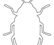 Coloriage et dessins gratuit Croquis d'un Scarab&eacute;e à imprimer