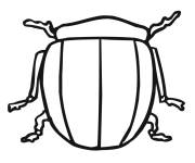 Coloriage Doryphore simple