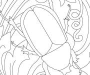 Coloriage Illustration de scarab&eacute;e