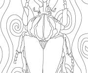 Coloriage Insecte Scarab&eacute;e sur ordi