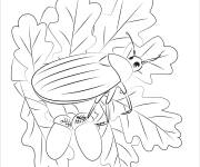Coloriage Insecte sur fruit