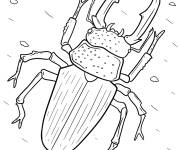 Coloriage Lucane cerf avec exosquelette textur&eacute;