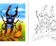 Coloriage Lucanus avec un mod&egrave;le en couleurs