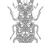 Coloriage Mandala de scarab&eacute;es fleuris
