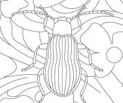 Coloriage Petit scarab&eacute;e
