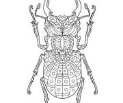 Coloriage et dessins gratuit Scarab&eacute;e &agrave; imprimer en ligne à imprimer