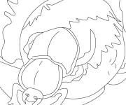 Coloriage Scarab&eacute;e au crayon