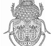 Coloriage Scarab&eacute;e avec d&eacute;coration complexe