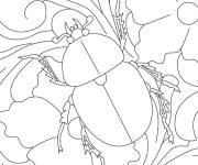 Coloriage Scarab&eacute;e croquis r&eacute;el