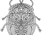 Coloriage scarab&eacute;e d&eacute;cor&eacute;e