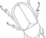 Coloriage et dessins gratuit Scarab&eacute;e dessin&eacute; en noir et blanc à imprimer