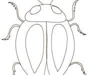 Coloriage et dessins gratuit Scarab&eacute;e en vecteur facile à imprimer