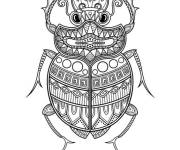 Coloriage Scarab&eacute;e gratuit