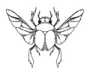 Coloriage et dessins gratuit Scarab&eacute;e ouvrant ses ailes à imprimer