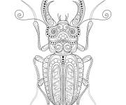 Coloriage Scarab&eacute;e pour adulte