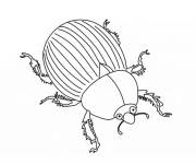 Coloriage Scarab&eacute;e rigolo