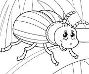 Coloriage Scarab&eacute;e souriant