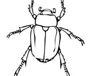 Coloriage et dessins gratuit Scarab&eacute;es en miniature à imprimer
