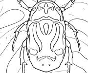 Coloriage Vue de dessus de la coccinelle orange