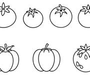 Coloriage et dessins gratuit Croquis de collection de tomates à imprimer