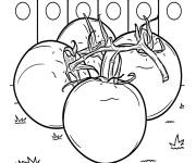 Coloriage Des grosses tomates