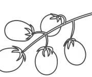 Coloriage Des petites fruits de tomates cerises