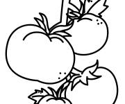Coloriage Des tomates sur la plante