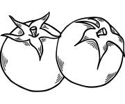 Coloriage Deux grosses tomates stylis&eacute;s
