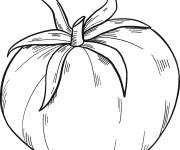 Coloriage Imprime le dessin de tomate