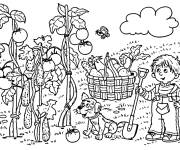Coloriage L'enfant dans le jardin collecte les tomates