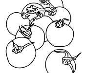 Coloriage Plusieurs tomate en ligne
