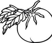 Coloriage Tomate meilleur fruit pour la sant&eacute;