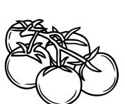 Coloriage Tomate vectoriel