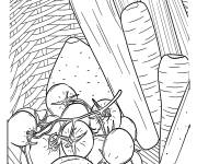 Coloriage Tomates dans le panier des l&eacute;gumes