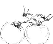 Coloriage Tomates en rouge avec le tige en vert