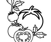 Coloriage Tomates fraiches gratuits